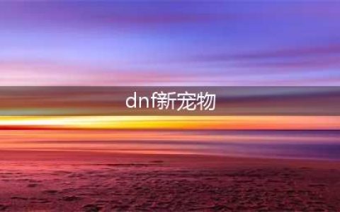 《DNF》2021五一宠物一览 五一宠物怎么样(dnf新宠物)
