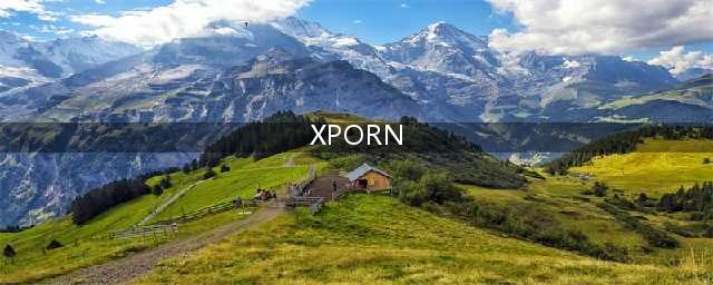 不容错过的国外黄色系网站揭秘它们的背后的故事(XPORN)