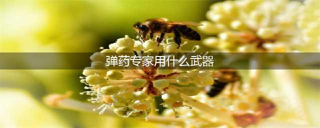 DNF110级机械战神男弹药专家毕业装备推荐(弹药专家用什么武器)