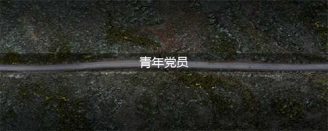青年党员的责任与担当(青年党员)