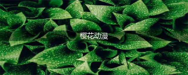 樱花动漫您专属的在线动漫追番神器(樱花动漫)