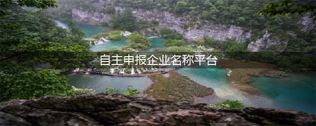辽宁省企业名称可自主申报(自主申报企业名称平台)