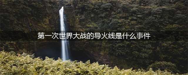 为何第一次世界大战的导火索是萨拉热窝事件？因为死的就是他！(第一次世界大战的导火线是什么事件)
