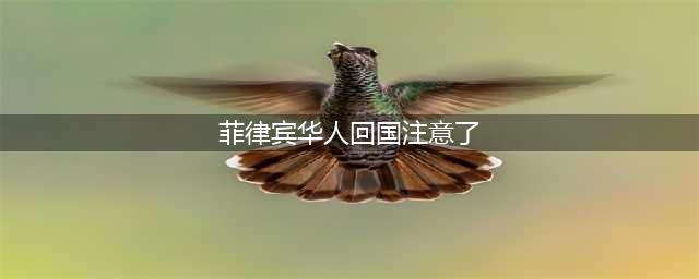 提醒！菲律宾回国千万别带这些东西，后果很严重(菲律宾华人回国注意了)