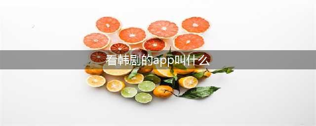 十大热门韩剧观看平台(看韩剧的app叫什么)