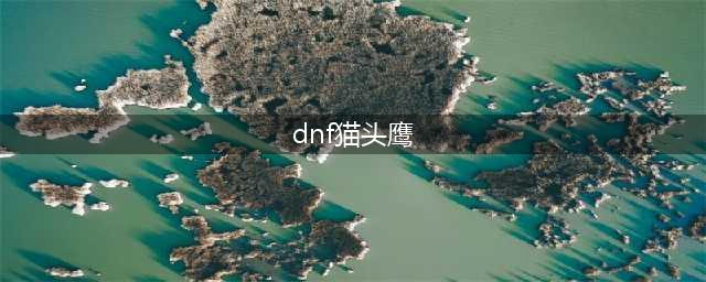 《DNF》猫头鹰怎么得 获取攻略分享(dnf猫头鹰)