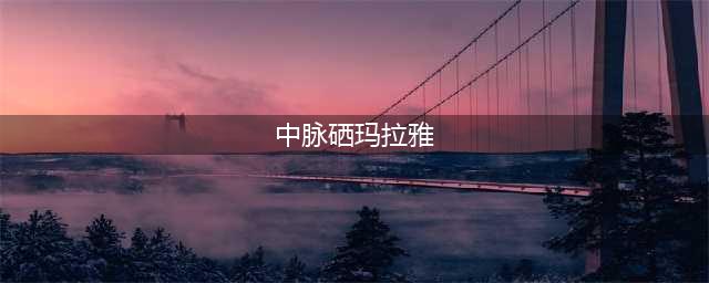 硒在消化系统疾病防治中的应用之(萎缩性胃炎)(中脉硒玛拉雅)