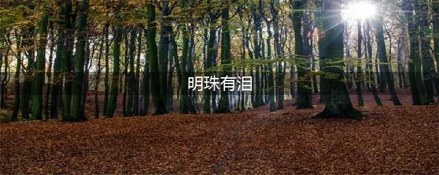 《我的侠客》平凡情缘任务怎么做 平凡情缘任务攻略(明珠有泪)