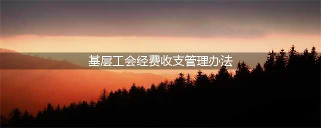 基层工会经费收支管理办法【总工办发[2017]32号】(基层工会经费收支管理办法)