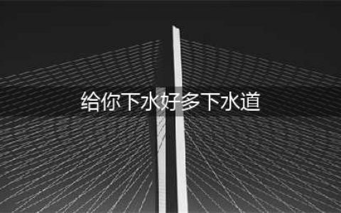 下水道快速疏通7妙招(给你下水好多下水道)