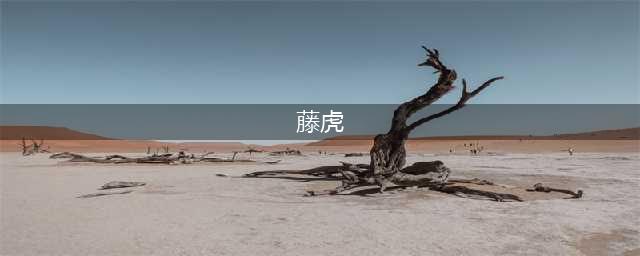 海贼王957话分析：大将藤虎受伤，萨博没死的可能性又增加了(藤虎)