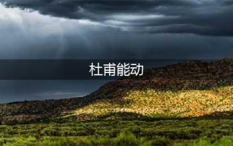让人眼瞎的匾额:杜甫能动、妇女之宝、好狗边上飘(杜甫能动)