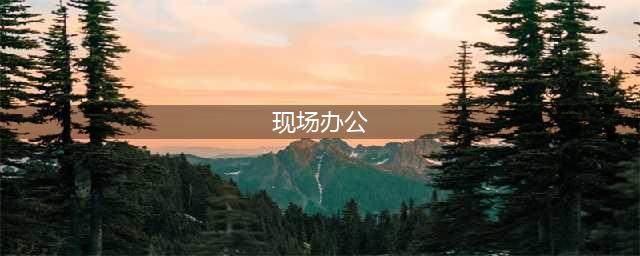 领导为什么喜欢现场办公？(现场办公)