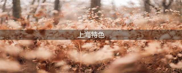 上海十大特色(上海特色)