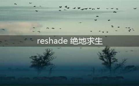 绝地求生Reshade插件怎么用/使用教程 亮度调节方法(reshade 绝地求生)