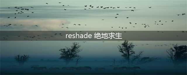 绝地求生Reshade插件怎么用/使用教程 亮度调节方法(reshade 绝地求生)