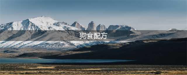 宠物医院：25种狗狗营养食谱(狗食配方)
