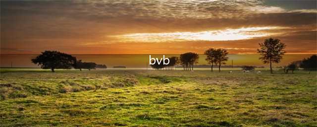 艾尔登法环bvb意思介绍