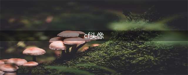 《cf手游》头像框设置教程 头像框怎么设置(cf头像)
