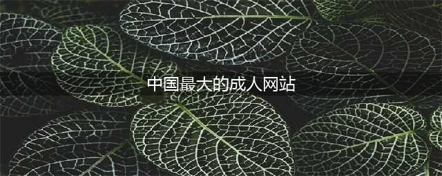 全球最大成人网站安全做得很不错……(中国最大的成人网站)