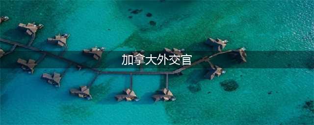 外媒：前加拿大外交官康明凯在中国被拘(加拿大外交官)