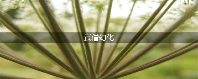 《魔兽世界》武僧新幻化怎么搭配 8.15好看的武僧幻化分享(武僧幻化)