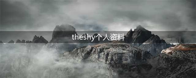 《LOL》IGtheshy个人资料 TheShy个人职业生涯(theshy个人资料)