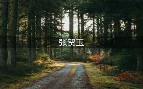 微博网红张老师从国外走红到国内事业的成功之路(张贺玉)