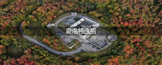 《王者荣耀》夏洛特怎么连招 夏洛特连招技巧分享(夏洛特连招)