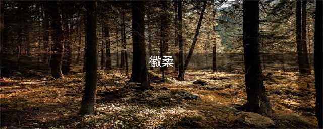真实的徽柔公主以及她的婚姻(徽柔)