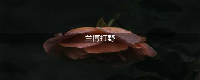 《lol》兰博打野怎么出装