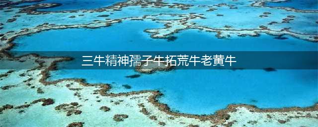 “三牛精神”——孺子牛、拓荒牛、老黄牛。(三牛精神孺子牛拓荒牛老黄牛)