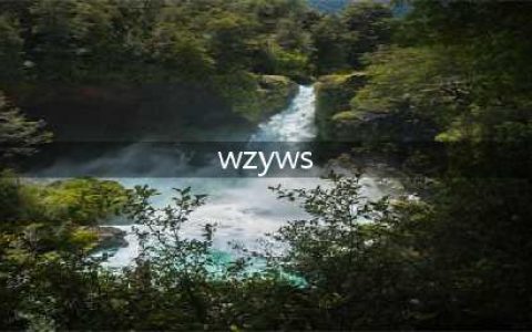 《魔兽世界》怀旧服WLK增强萨平砍施法监视WA推荐
