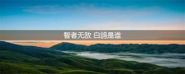 智者无敌的白鸽到底是谁？智者无敌里面的人物都有哪些共同点？(智者无敌 白鸽是谁)