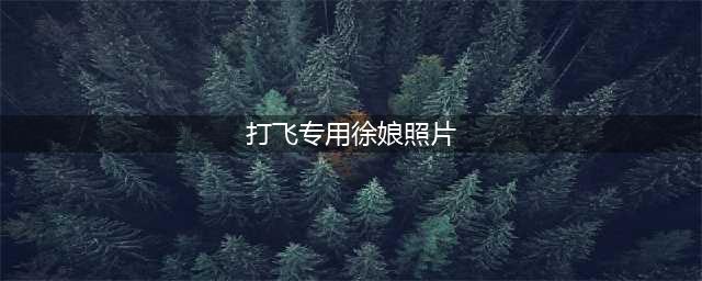 河南开封“王婆”爆火：背后有高人(打飞专用徐娘照片)
