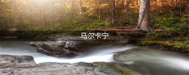 带队逆转！马尔卡宁15中8(马尔卡宁)