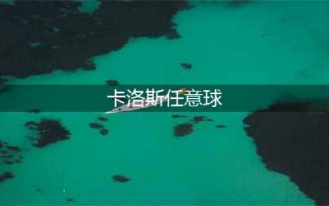 打服诸神！罗伯托·卡洛斯：一个令门将闻风丧胆的世界第一任意球重炮攻击手！(卡洛斯任意球)