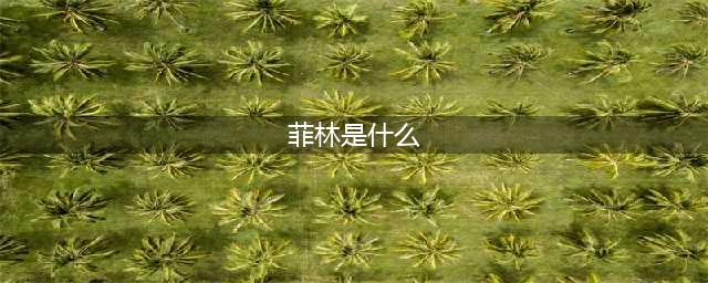 《明日方舟》菲林原型是什么 菲林原型介绍(菲林是什么)