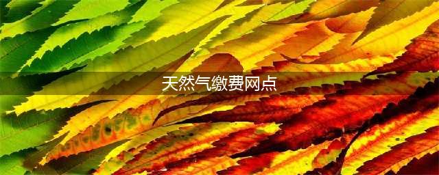 19个天然气缴费网点方便市民购气(天然气缴费网点)