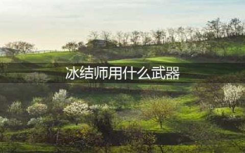 dnf冰结师带什么武器(冰结师用什么武器)