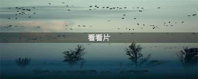十大免费在线观影网站，让您随时畅享高清大片(看看片)