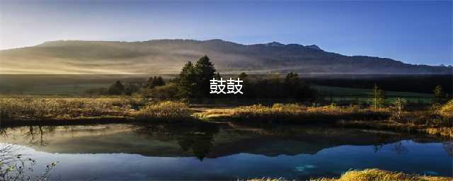 LOL新晋解说鼓鼓刚火三天，黑历史被扒，王思聪亲自手撕(鼓鼓)