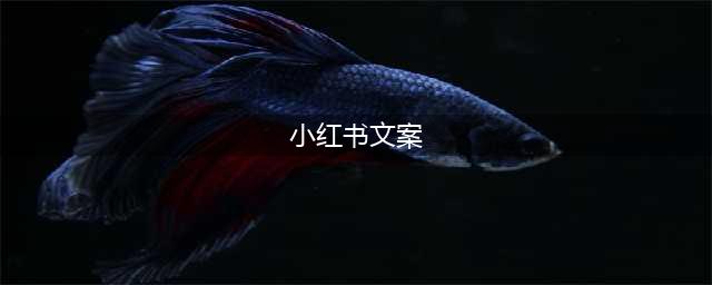 小红书文案编写：小红书产品文案怎么写？(小红书文案)
