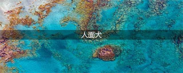 《妖怪手表4》人面犬怎么样 人面犬属性资料图鉴(人面犬)