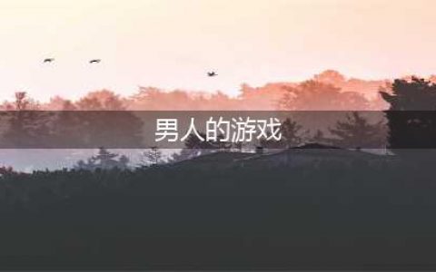 真正的男人游戏排行榜前十名2021 十大好玩的男子汉游戏合集推荐(男人的游戏)