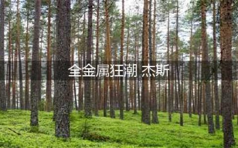 LOL全金属狂潮杰斯有特效吗(全金属狂潮 杰斯)