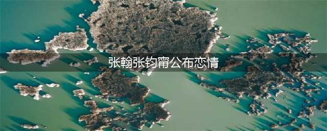 张翰张钧甯同时宣布新恋情：我的眼里只有你！(张翰张钧甯公布恋情)