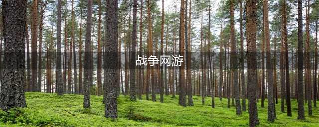战争模拟网游手游排行榜2021 必玩战争模拟网游推荐(战争网游)