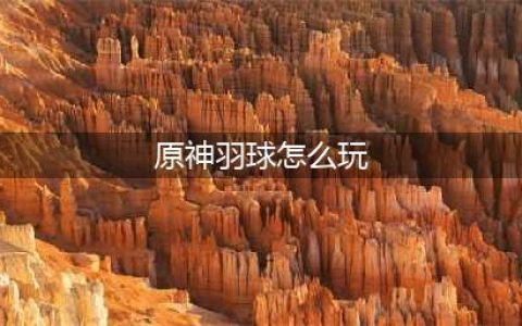 原神风佑之羽球怎么使用