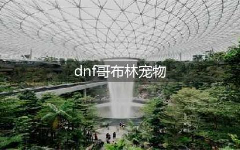 《DNF》手游宠物精灵哥布林特点分析 精灵哥布林属性介绍(dnf哥布林宠物)